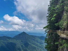 明月山旅游区资讯网(明月山旅游区资讯网官网)