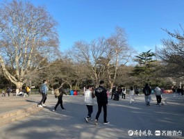青岛一年四季气温怎么样(青岛一年四季气温怎么样啊)