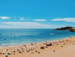 上海海边(上海海边旅游景点)