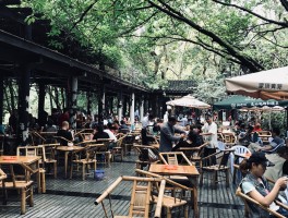 记录成都旅行(秒懂百科成都旅游)