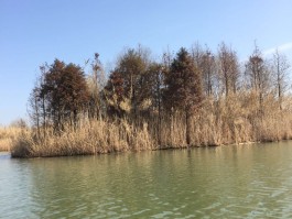 旅游太湖日记(太湖日记300字)