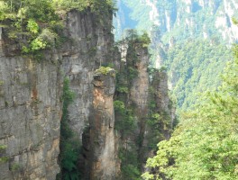 一个人跟旅行团去张家界安全吗(去张家界旅游找旅行团还是自己游)