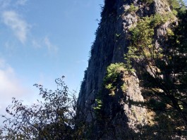 天竺山森林公园(天竺山森林公园门票多少钱)