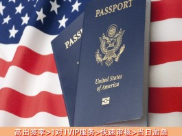 美国签证网站(cgi美国签证网站)