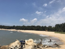 崇武古城旅游日记(游崇武古城作文500字)