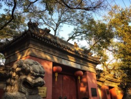 法源寺(法源寺门票预约官网)