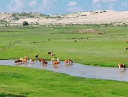 旅游日记草原锡林郭勒(旅游日记草原锡林郭勒怎么写)