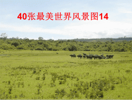 播放世界美景什么玩意(世界美景视频及照片大全)