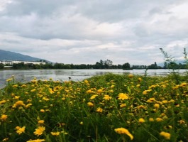 鹤庆最值得旅行的地方是哪里(鹤庆最值得旅行的地方是哪里呢)