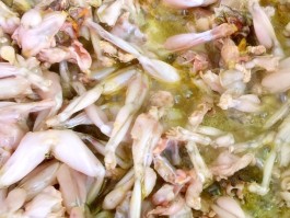 旅游青蛙的美食的简单介绍