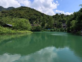 广州周边两日游去哪里好(广州周边两日游去哪里好玩儿)
