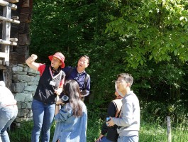 迈林根旅游美食攻略(福建迈格林医疗科技有限公司)