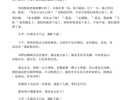 二年级旅游日记去海边玩(二年级旅游日记去海边玩怎么写)
