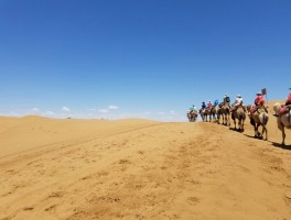 沙坡头旅游攻略(沙坡头旅游攻略自驾游)