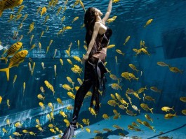 水族馆旅游拍照技巧和方法图片(水族馆旅游拍照技巧和方法图片视频)