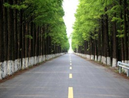 自驾旅行到达江苏盐城(自驾旅行到达江苏盐城要隔离吗)