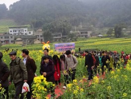 江津一日游必去的地方(江津一日游必去的地方展架)