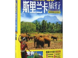 旅游攻略网站(旅游攻略网站开发)
