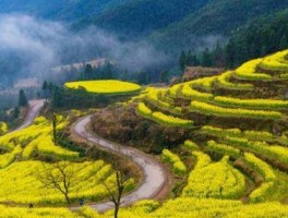 四月旅行最值得去的8个地方(四月旅行最值得去的8个地方有哪些)