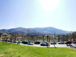 女子骑自行车去攀枝花旅游(女子骑自行车去攀枝花旅游视频)