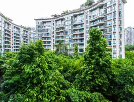 丽都(丽都整形美容医院)