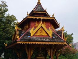 西双版纳旅行日记(西双版纳旅游记作文)
