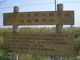 国家级文化生态保护区建设经费应当纳入(国家级文化生态保护区建设经费应当纳入当地公共财)