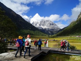 放假想一个人跟团旅行(放假想一个人跟团旅行怎么办)