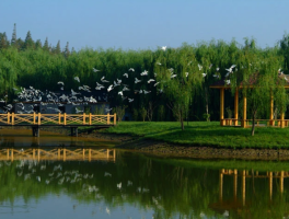 崇明岛旅游攻略2023(崇明岛旅游攻略2023年8月)