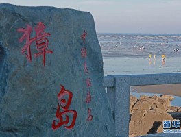 獐岛(獐岛民宿哪家好)