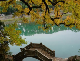 宁波旅游(宁波旅游攻略自由行)