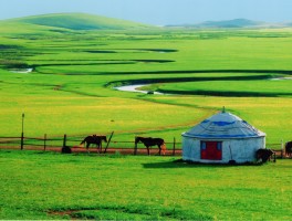 旅行草原拍照技巧视频(旅行草原拍照技巧视频大全)