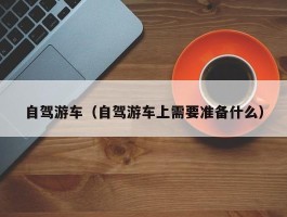 自驾游车（自驾游车上需要准备什么）