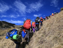 网络旅游记录视频(记录旅游视频的分享软件)