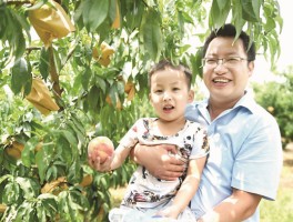 桃子移植官网进入(桃子树什么时候移植)