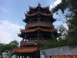 广东1天游适合去哪里旅游(广东1天游适合去哪里旅游呢)