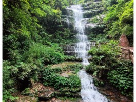 碧峰峡旅游攻略一日游(碧峰峡旅游攻略一日游不走路)