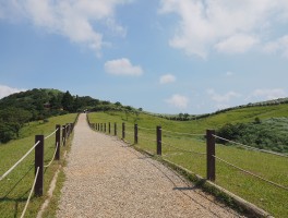 台北阳明山旅游日记(台北阳明山有哪些别墅)