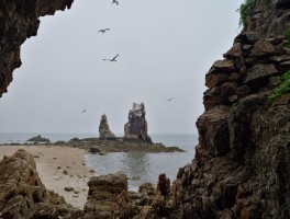 庄河景点(庄河景点有哪些)