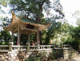 梧州景点(梧州景点旅游介绍)