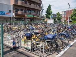 日本骑自行车旅游规定多少公里(日本骑自行车旅游规定多少公里可以骑)