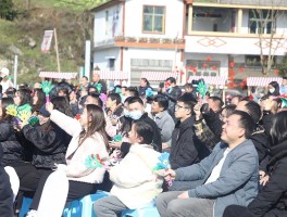 广西2023年春节旅游成果有哪些(广西2023年春节旅游成果有哪些呢)