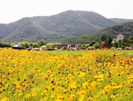 镇海花海旅游视频拍摄(镇海花海旅游视频拍摄图)