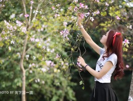 柳州紫荆花摄影人像(人像摄影作品欣赏图片大全)