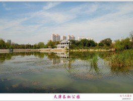 天津长虹公园(天津长虹公园在哪个区)