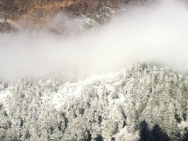 雪域高原旅游记录的简单介绍