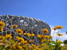 北京双飞五日游(北京双飞五日游3500元有哪些景点)