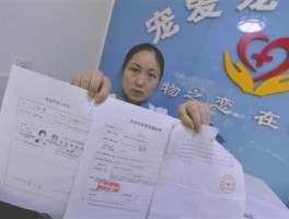 身份证丢失别人捡到会有什么风险(身份证丢失别人捡到会有什么风险2022年)