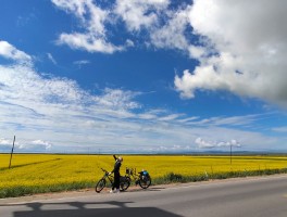 用相机记录旅行美景(用相机记录我的旅行美术教案)