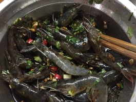 醉虾的做法(醉虾的做法家常做法)